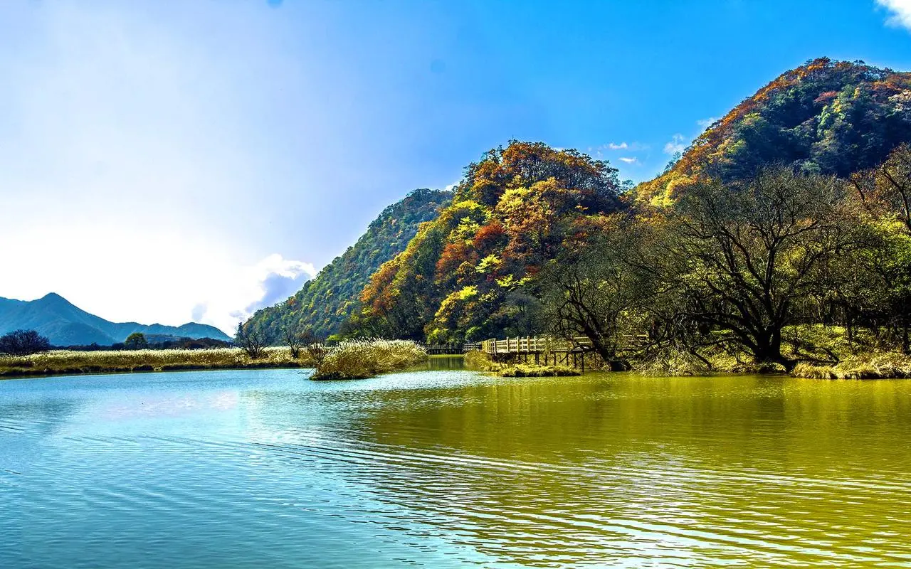 环保高效